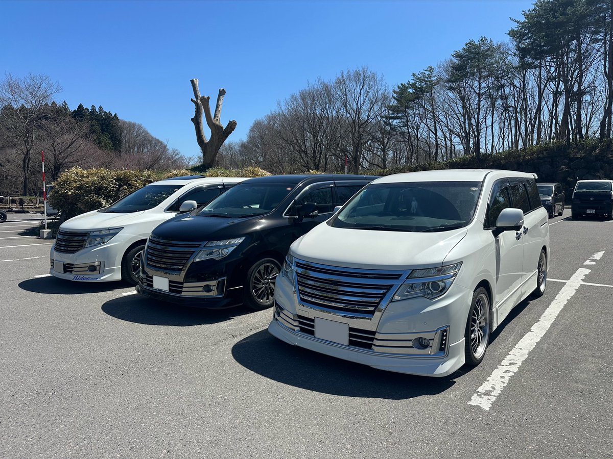 e52jade's tweet photo. 冬越して春を満喫している今日この頃 https://t.co/kbt6CRUIcz