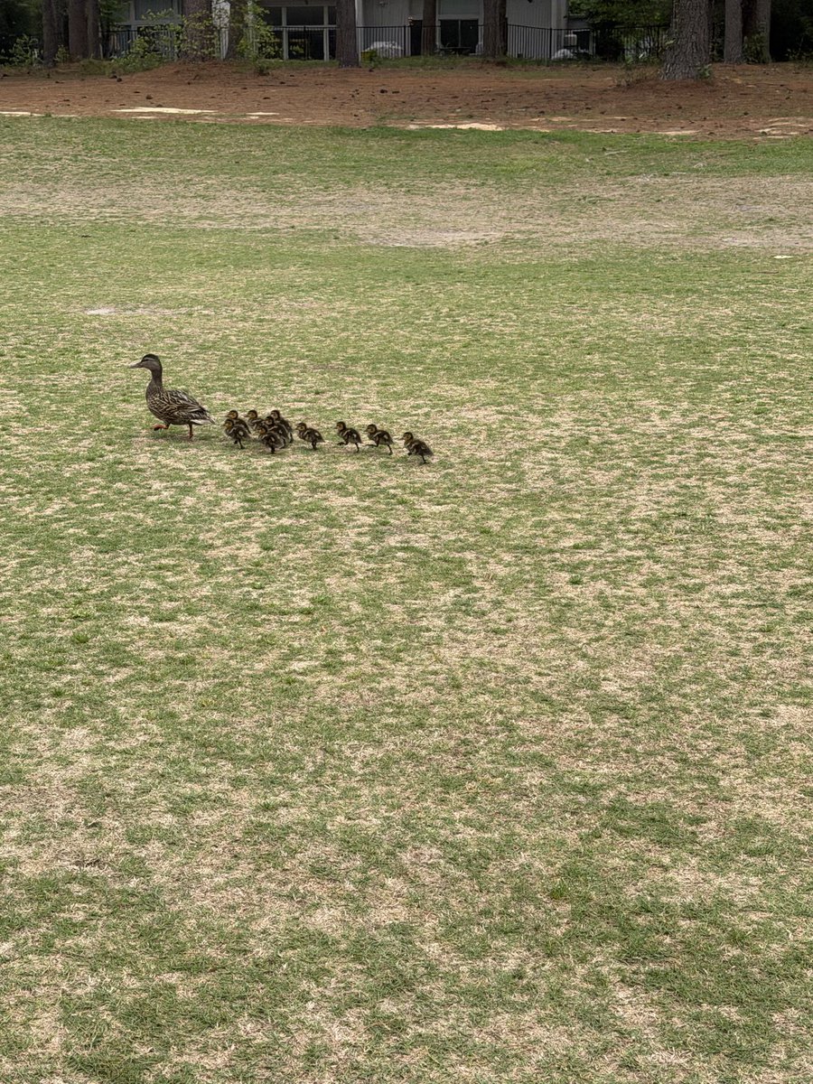 Fickie Rowler tweet media