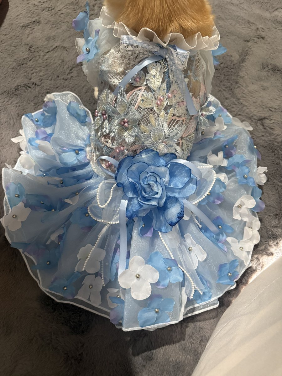blue tinkerbell dress Blue 'Tinkerbell' Style Dress main image 1