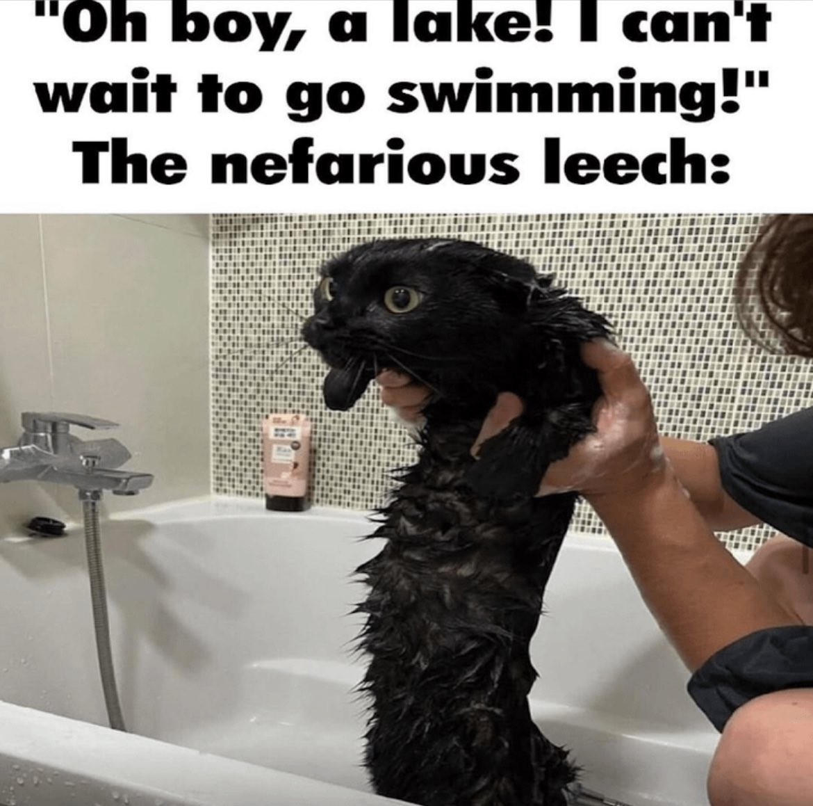 Dark,Odd,Conspiracy (@darkoddcon) on Twitter photo 