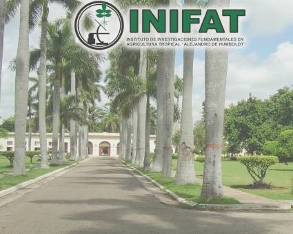 LuisMonteroMus1's tweet photo. Colaboración internacional para la agricultura https://t.co/o6KI0a8n6e @YdaelB @MinagCuba @RamnMonte1 @FAOCuba https://t.co/kJwd3dMXW2