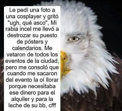 Otakus Del Dia a Dia tweet media