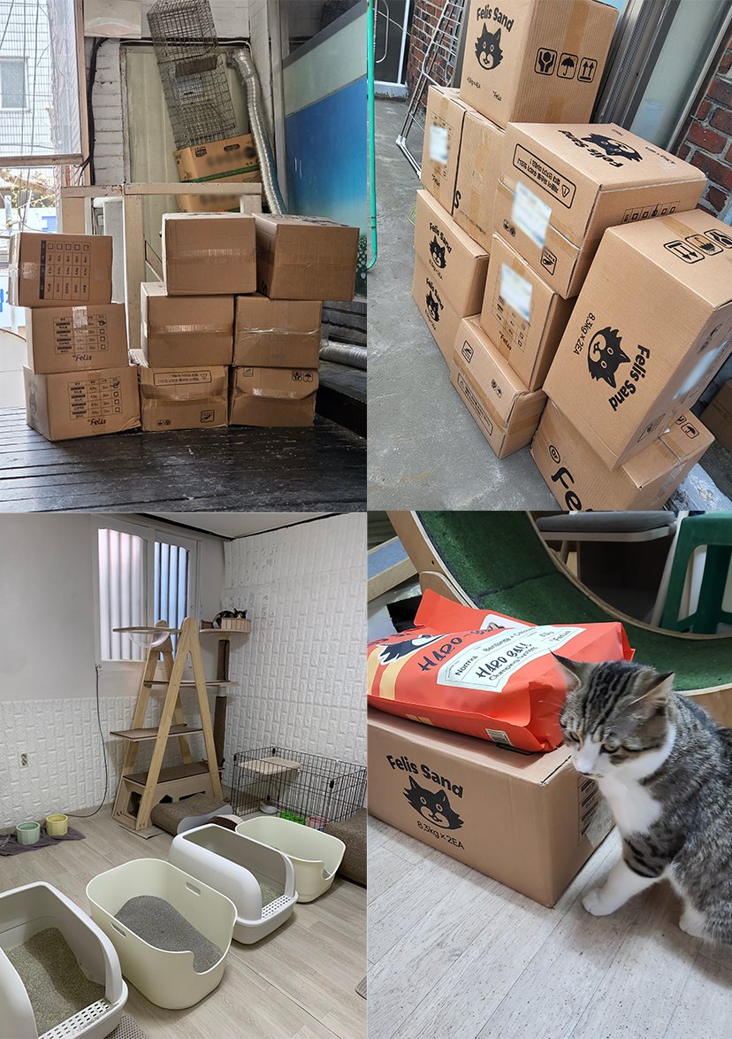 닥터펠리스 Dr.felis tweet media