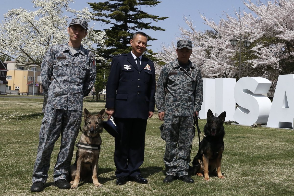 航空自衛隊 三沢基地 tweet media