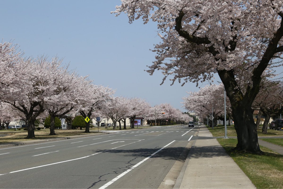 航空自衛隊 三沢基地 tweet media