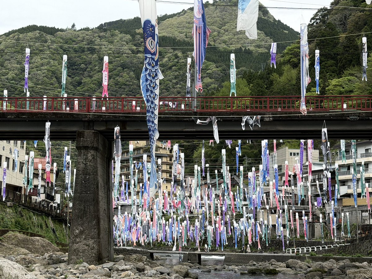 mt03_sei's tweet photo. 今年は杖立温泉の鯉のぼり🎏見れました😊 https://t.co/nZ0zvtvyT2