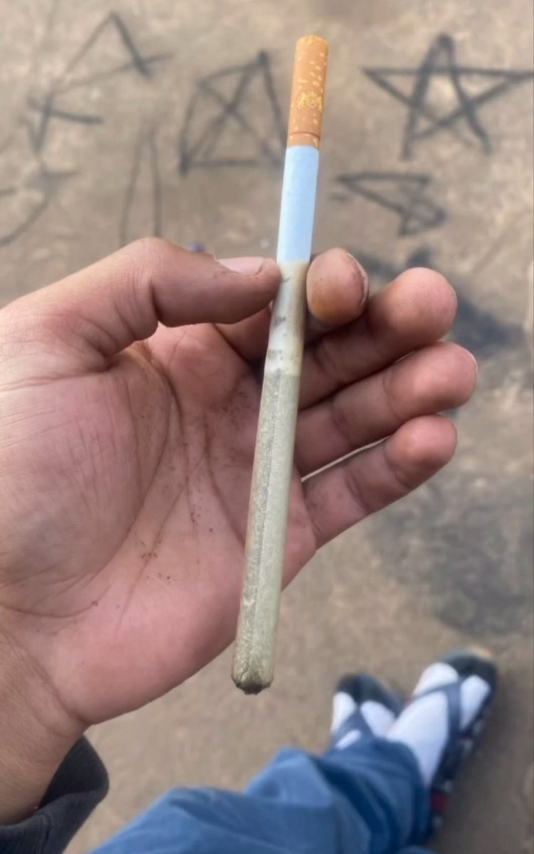 SpaceCannabis 🍃 tweet media