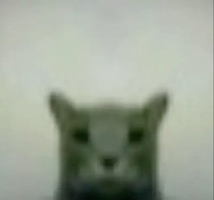 𝕴𝒌𝒆𝒓 𝐊𝒊𝒍𝒍𝒆𝒓 tweet media