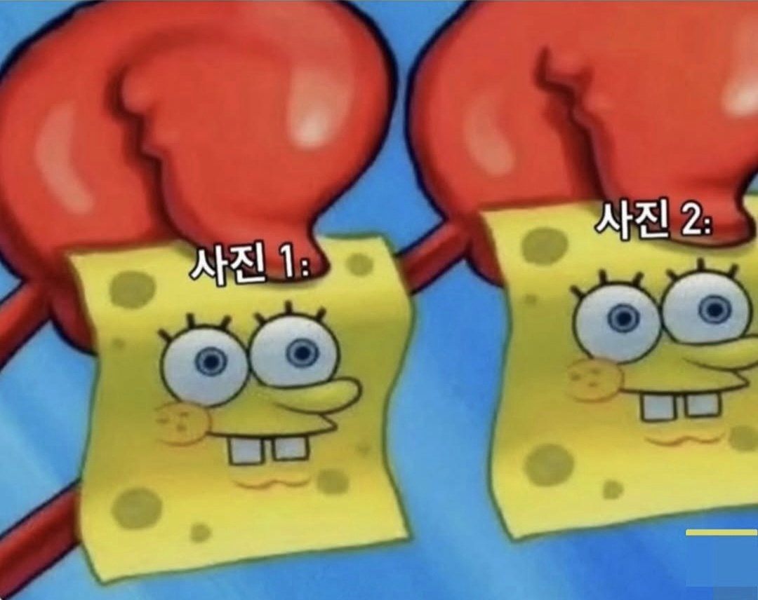 피아노핑🩷 tweet media