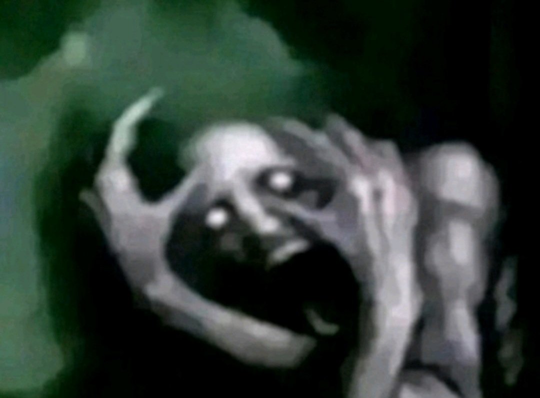 Filip Novak tweet media