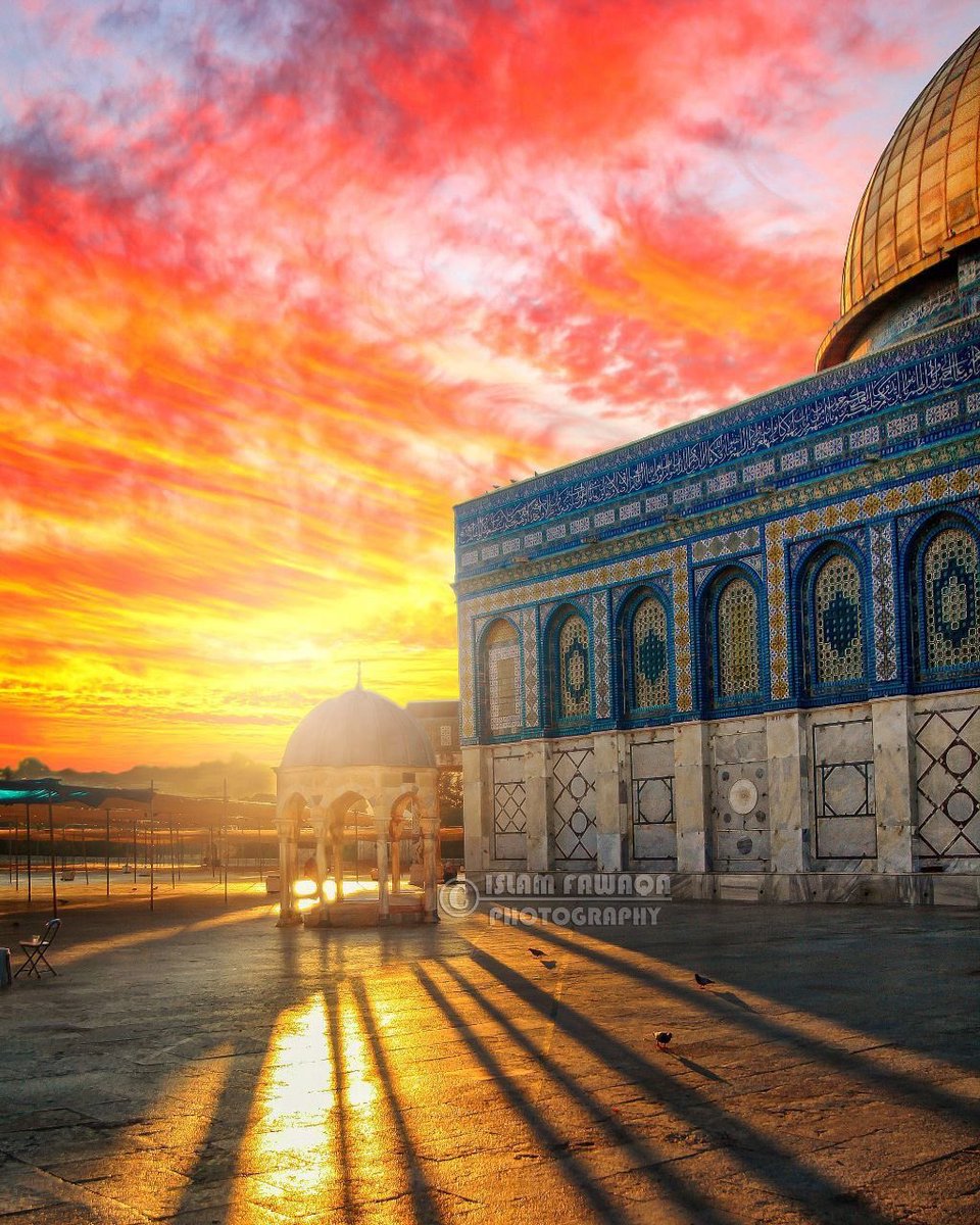 Aseel Swaid tweet media