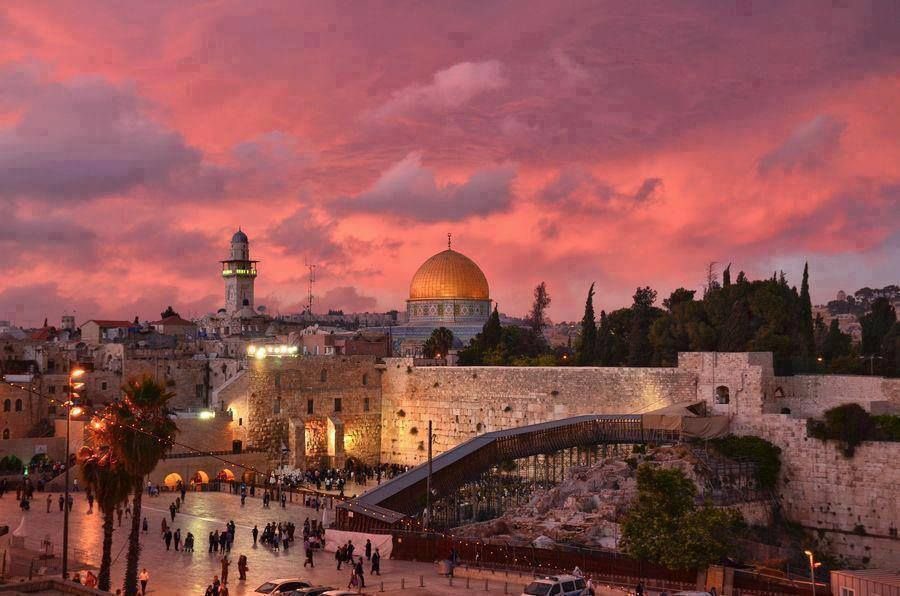 Aseel Swaid tweet media