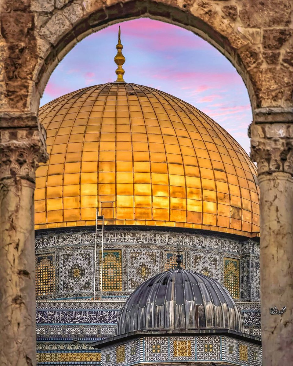 Aseel Swaid tweet media