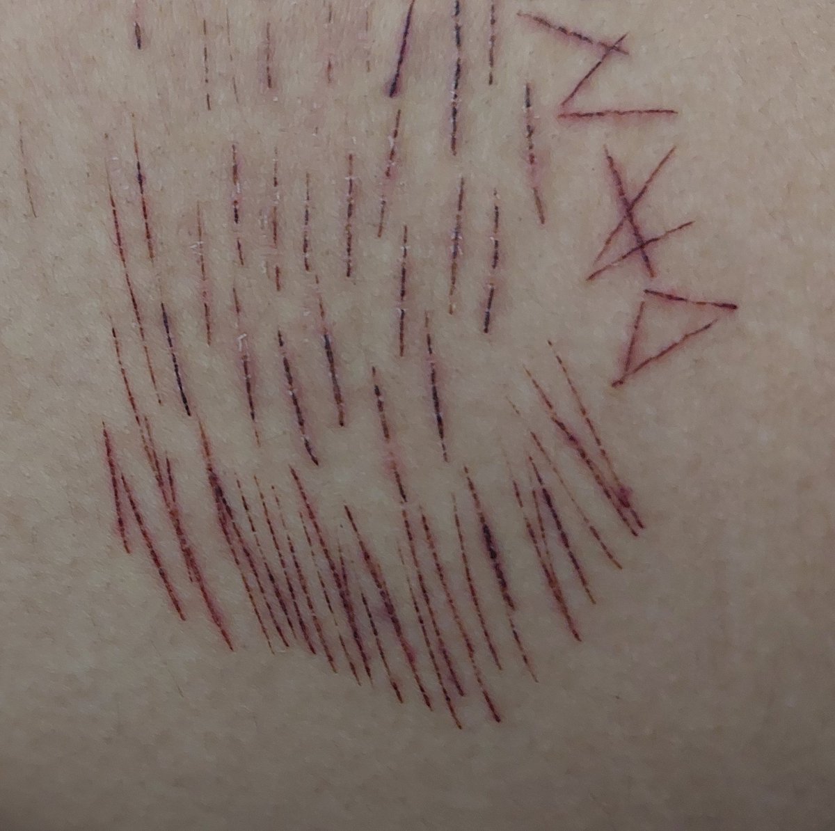 ⌗ ʟᴜᴄɪғᴇʀ 🪦 tweet media