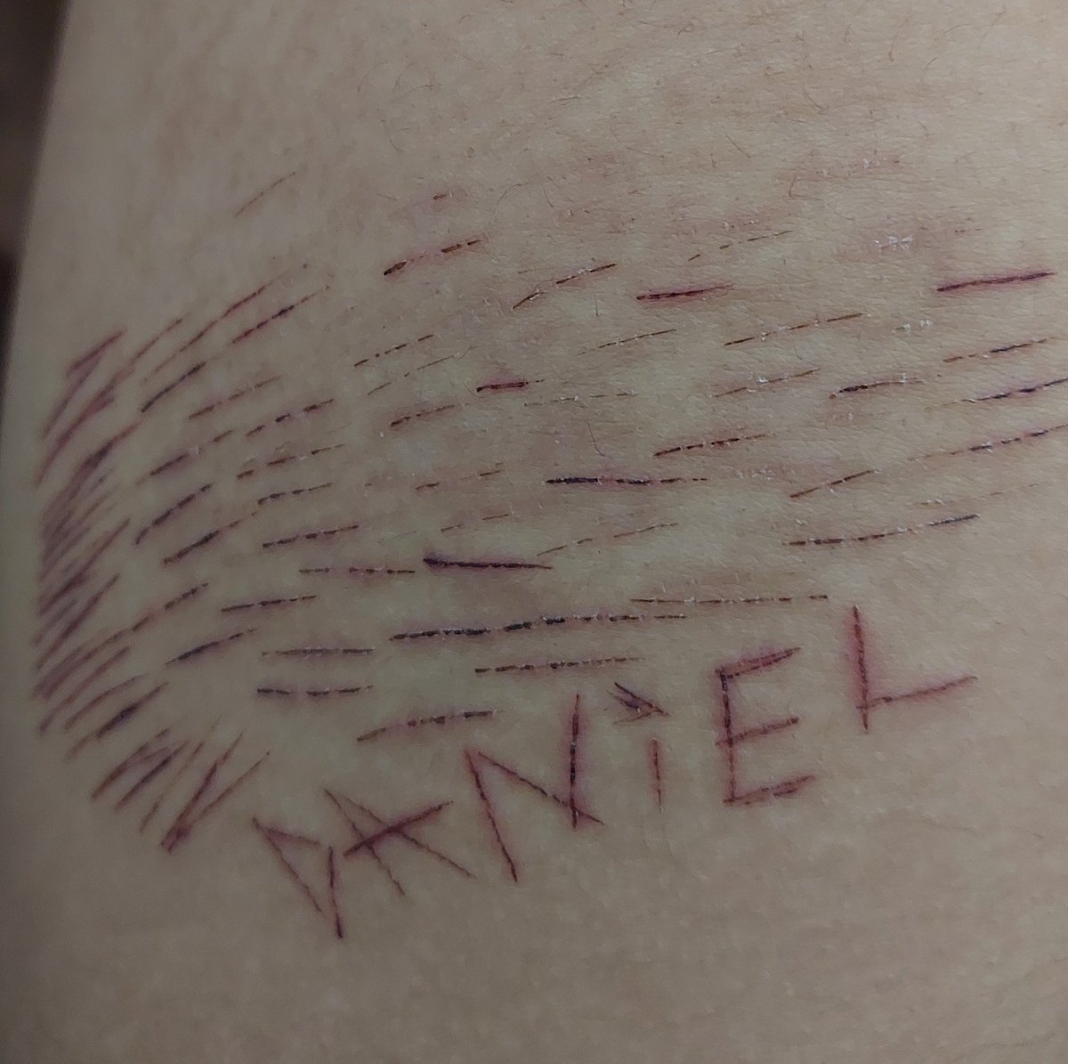 ⌗ ʟᴜᴄɪғᴇʀ 🪦 tweet media