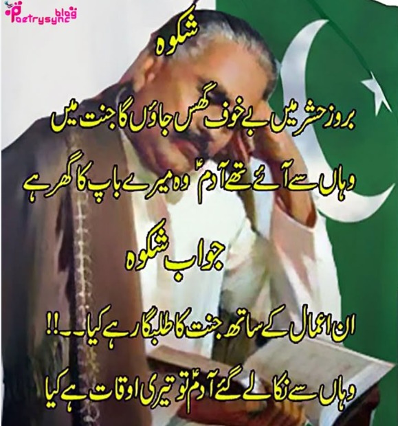 ianmarkmahinay's tweet image. Lafzon mein bandhi hui umeed 🌱📜 #Hope