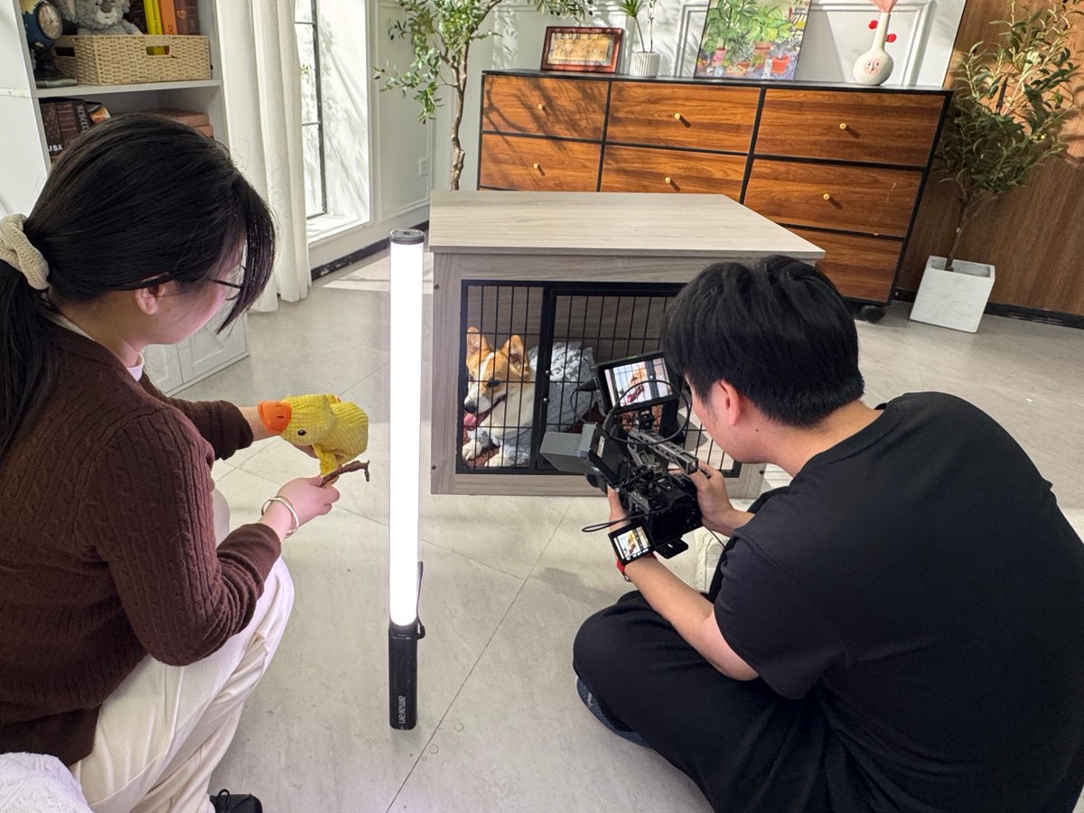 Alebert.JP tweet media
