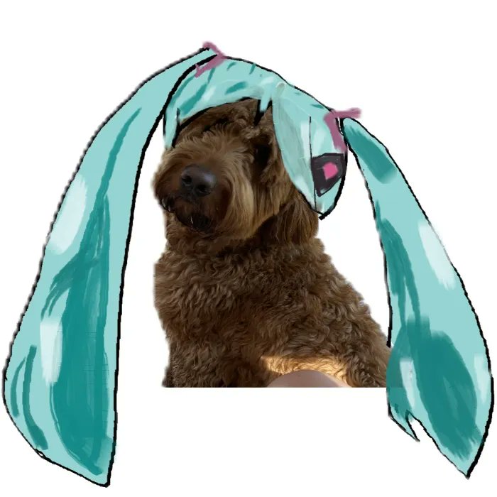 MommyMaple_'s tweet photo. I just received a contribution towards Crumpets Vet Appointment for his hips from JKY via Throne. Thank you! https://t.co/FYx9ZovLjp #Wishlist #throne https://t.co/0Wg8HdVuoD