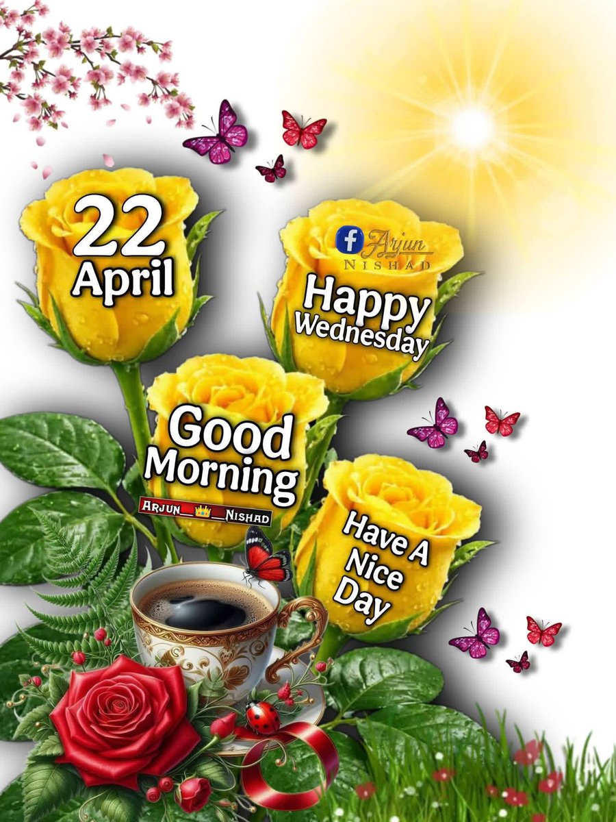 🦋 Laraib Fatima 🦋 tweet media