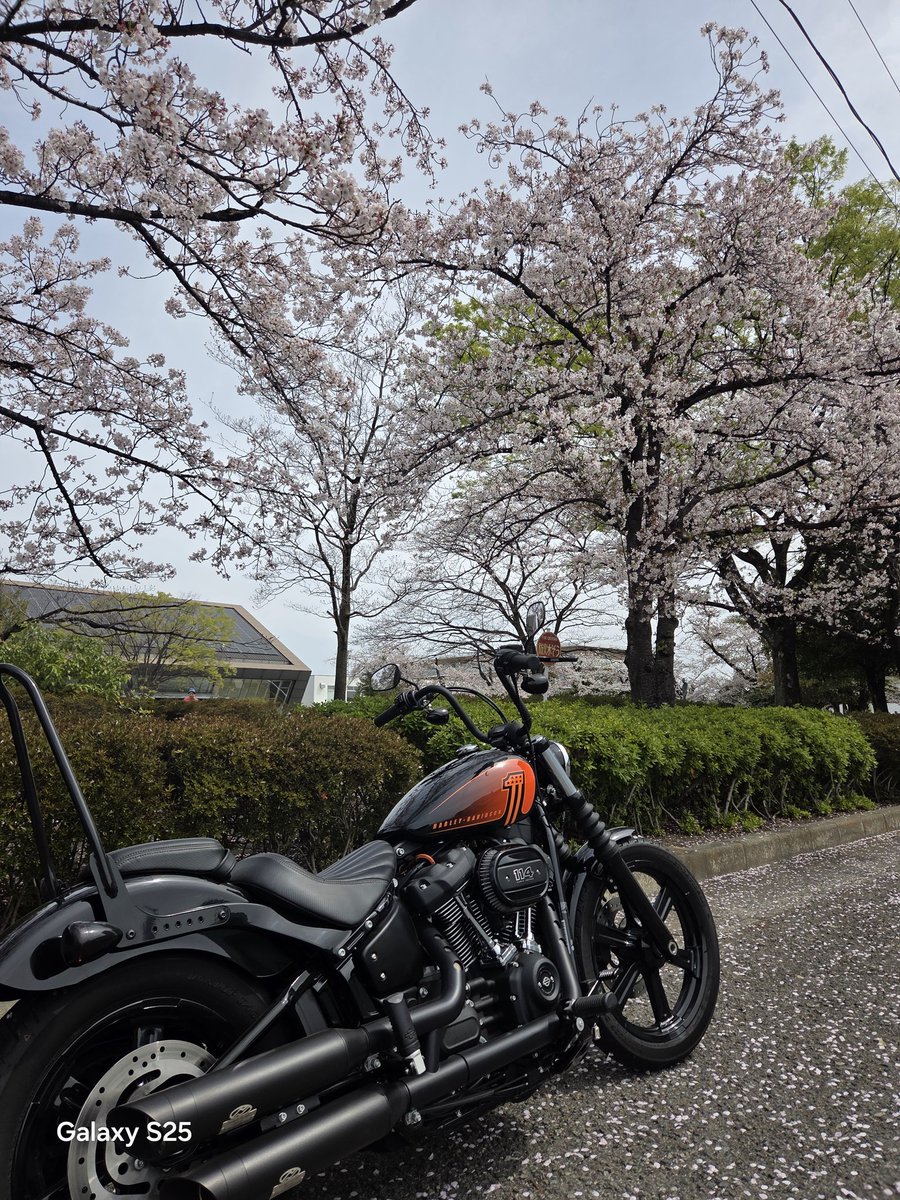 霧希　千鶴 tweet media