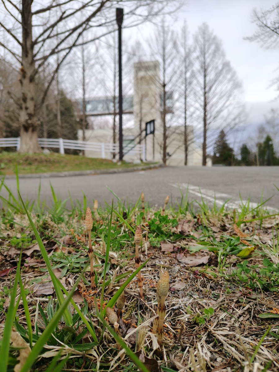 札幌市立大学 tweet media
