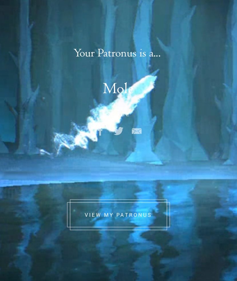 ninny 🥀 tweet media