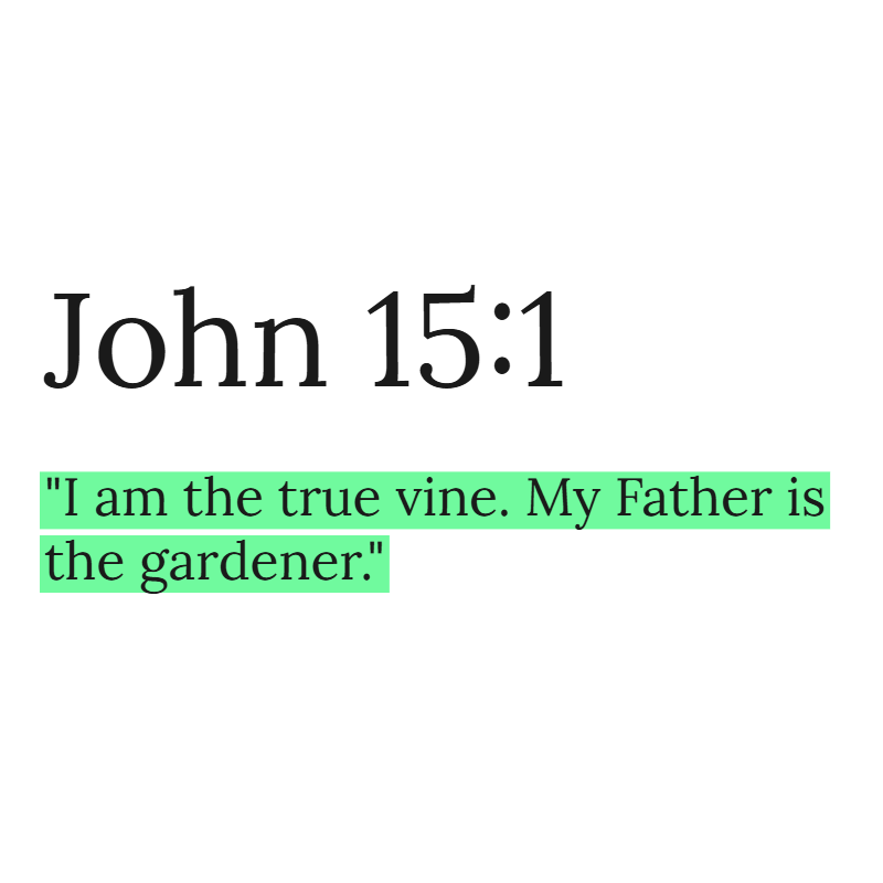 Holy Bible tweet media