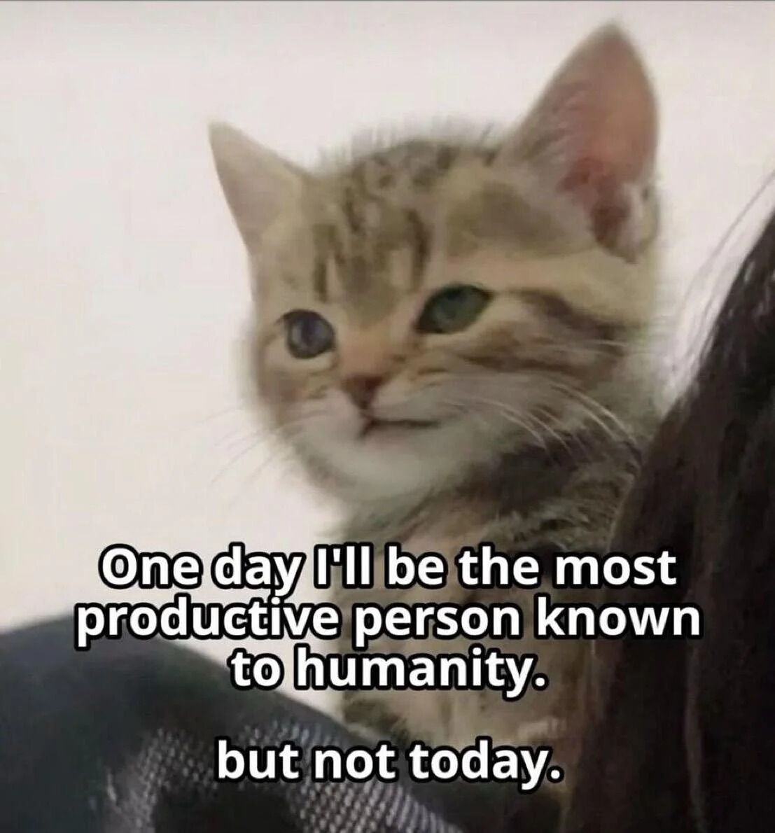 WholesomeMemes (@wholesomememe) on Twitter photo 