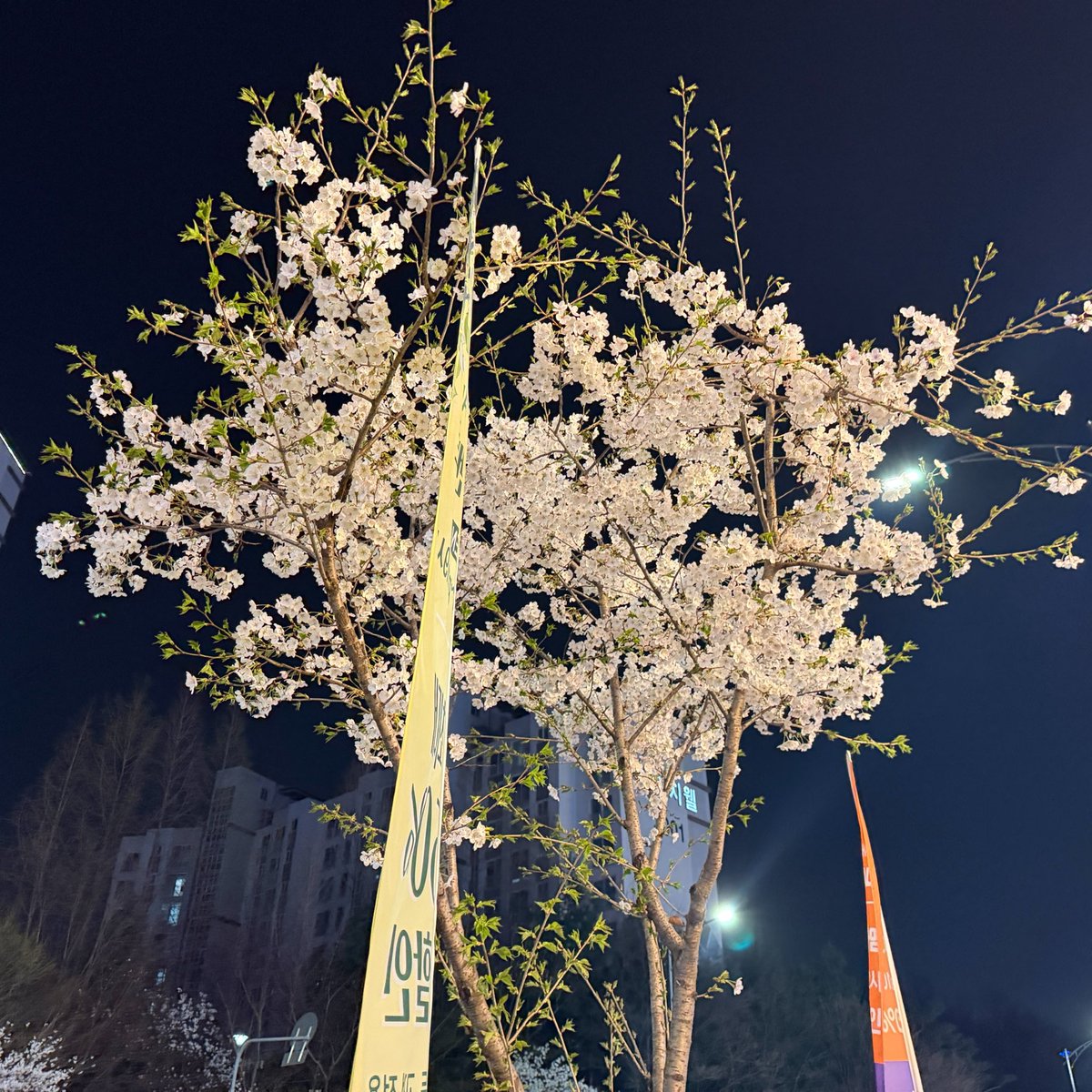 koc0_nut's tweet photo. 소식 없던 동안 뭐 하고 살았냐면....... https://t.co/aYZtMREGwf