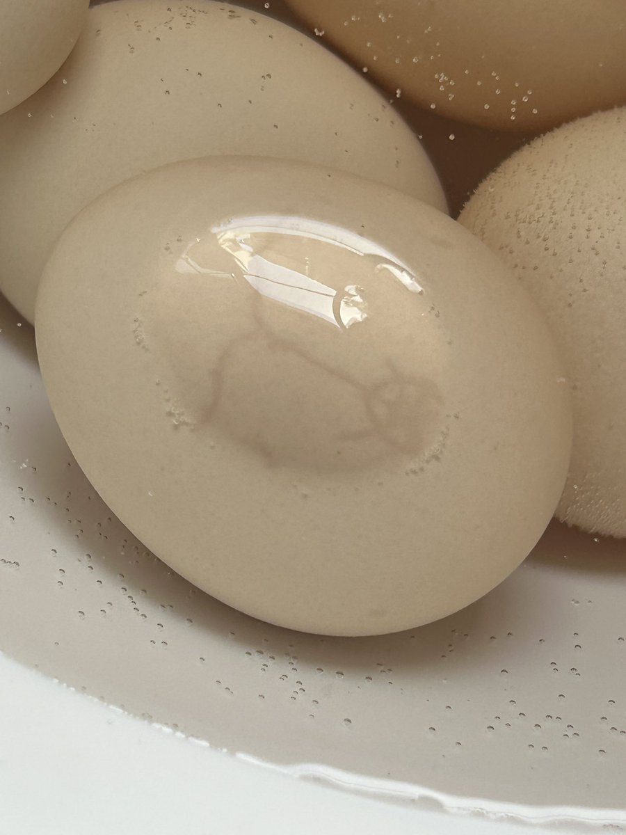 世界の暴せか（あばせか） tweet media