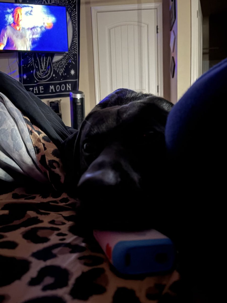 ꒰ঌ 𝓚𝓮𝔂𝓵𝓪໒꒱ tweet media