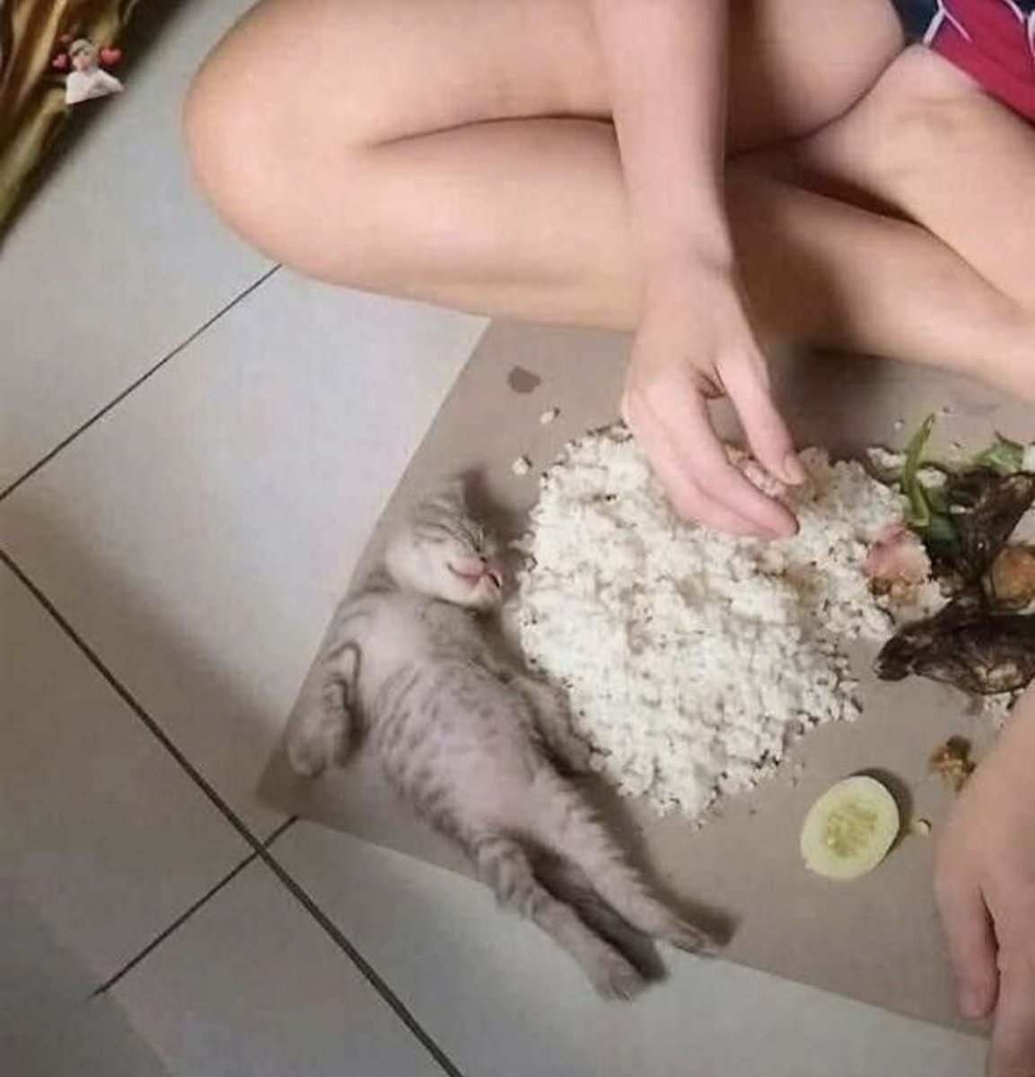 Alea🌷 tweet media