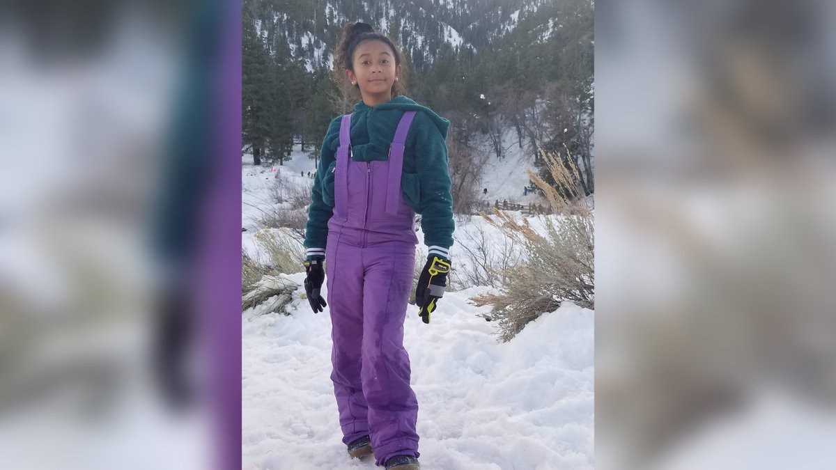 Lauren Conlin tweet media