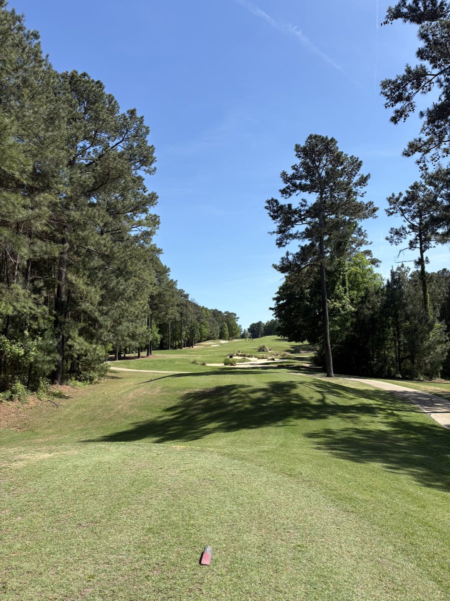 Swingin’ Tbone tweet media