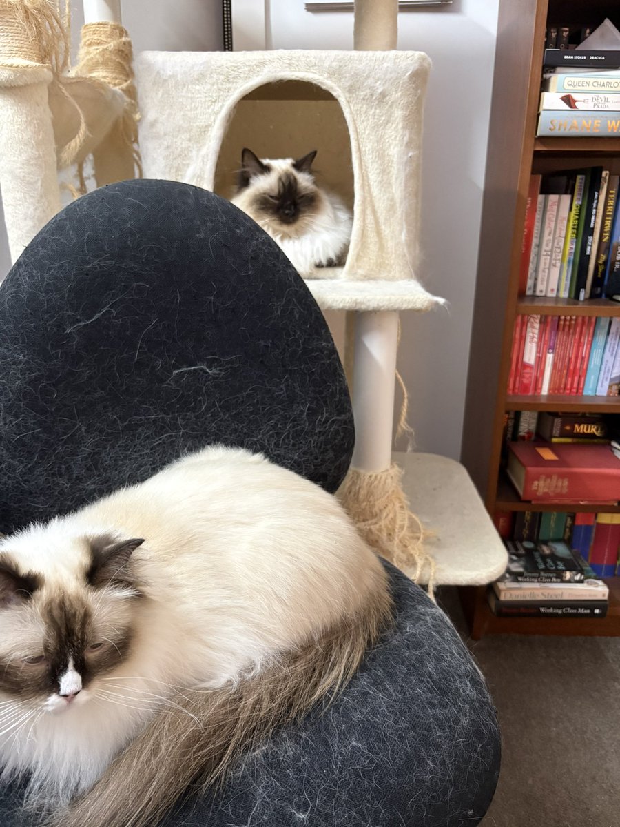 Renee Burge tweet media