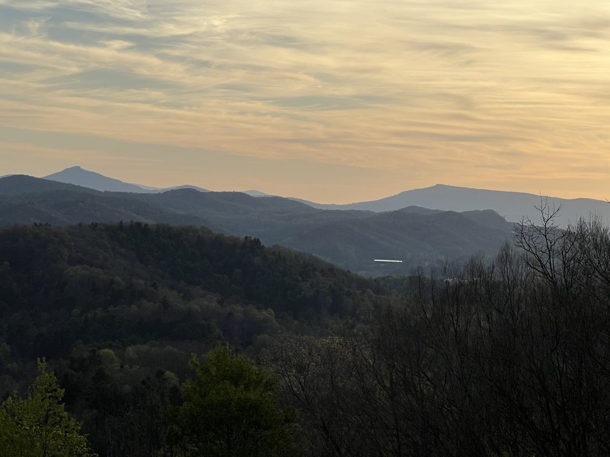 Jeffrey V tweet media