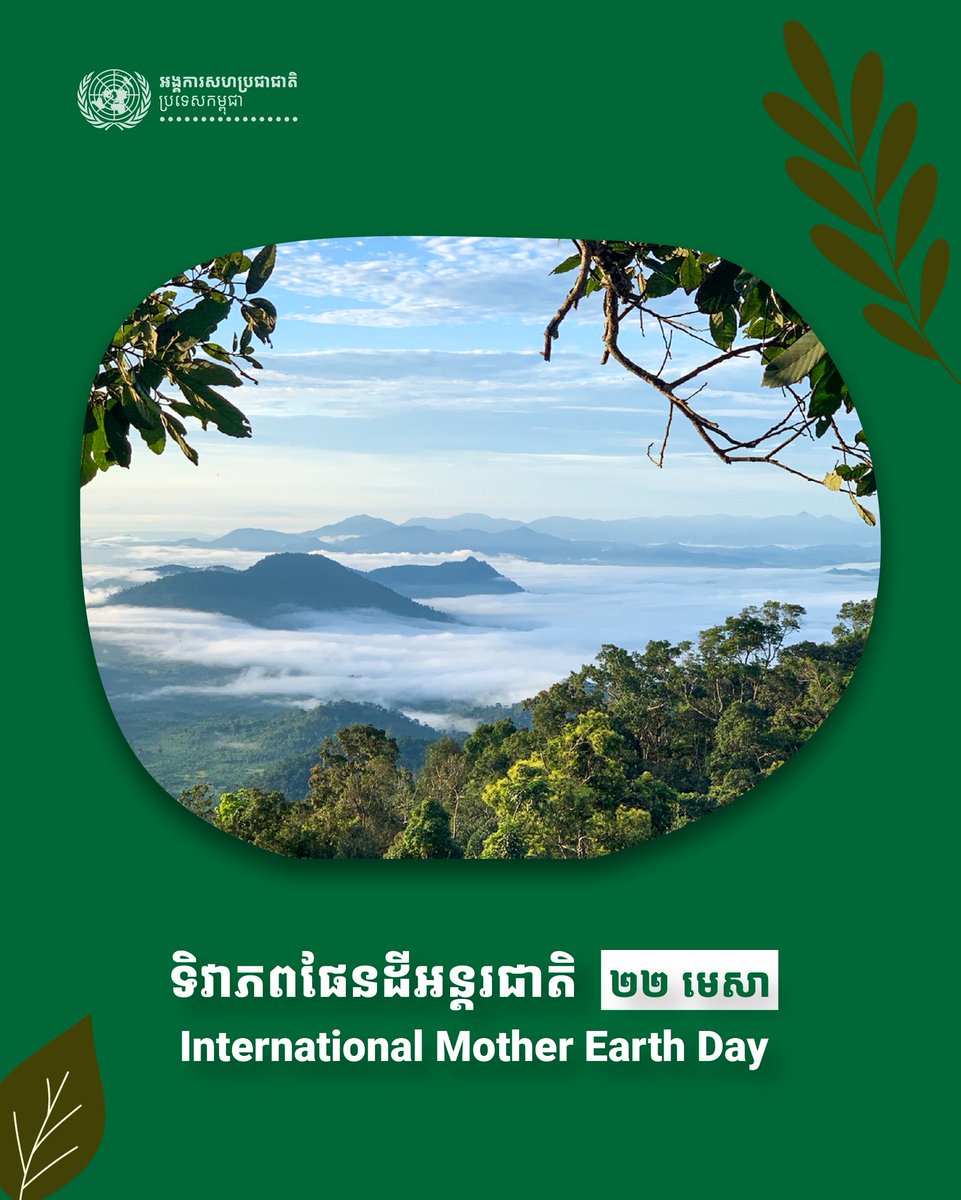 United Nations in Cambodia tweet media