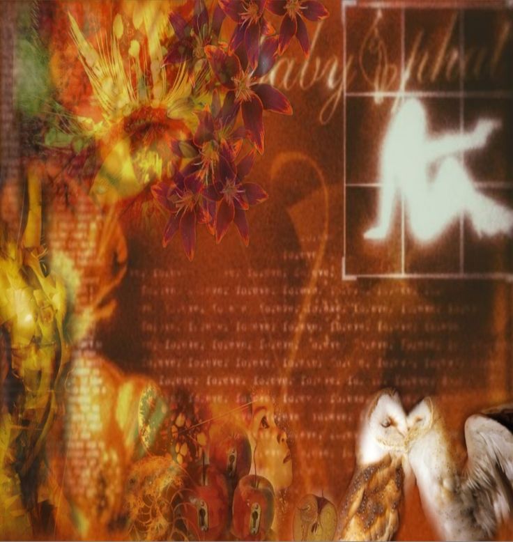 𝕷𝓲𝓪🍂 tweet media