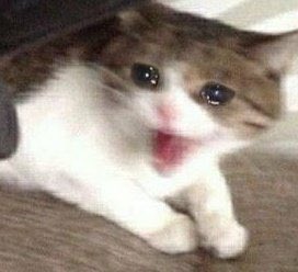 ᬕᬸᬲ᭄ᬢᬶ tweet media