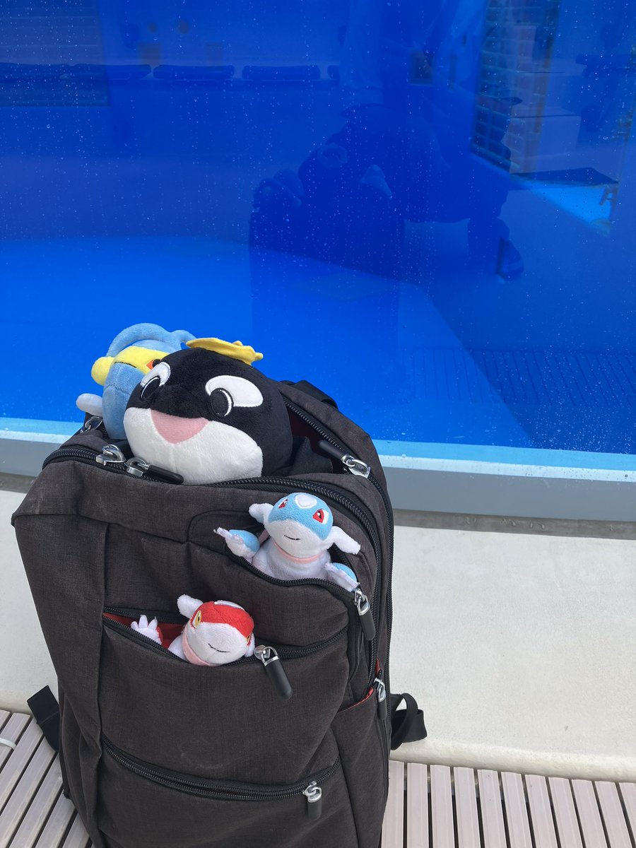 キャプテン・ラティハート垢 tweet media