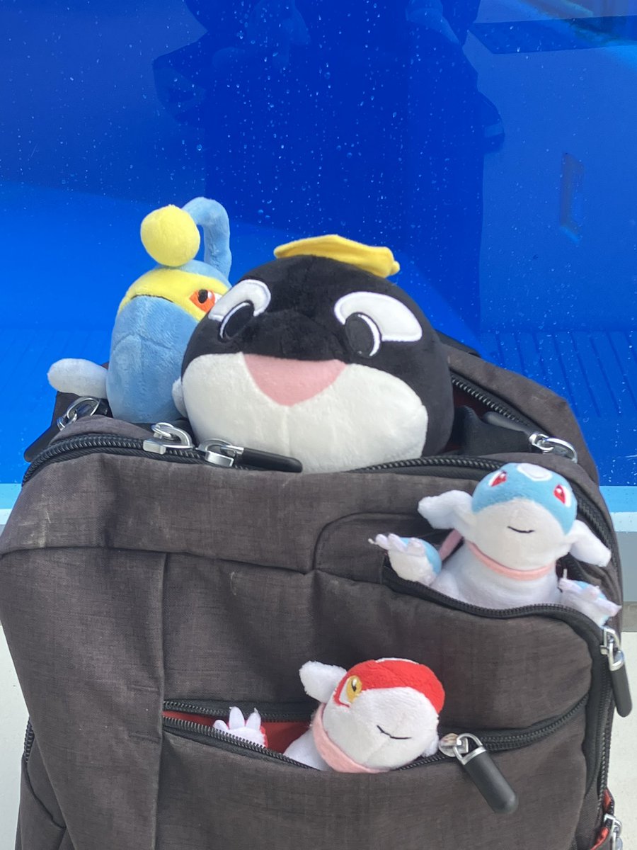 キャプテン・ラティハート垢 tweet media