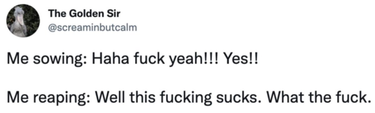 Every Republican on Twitter right now