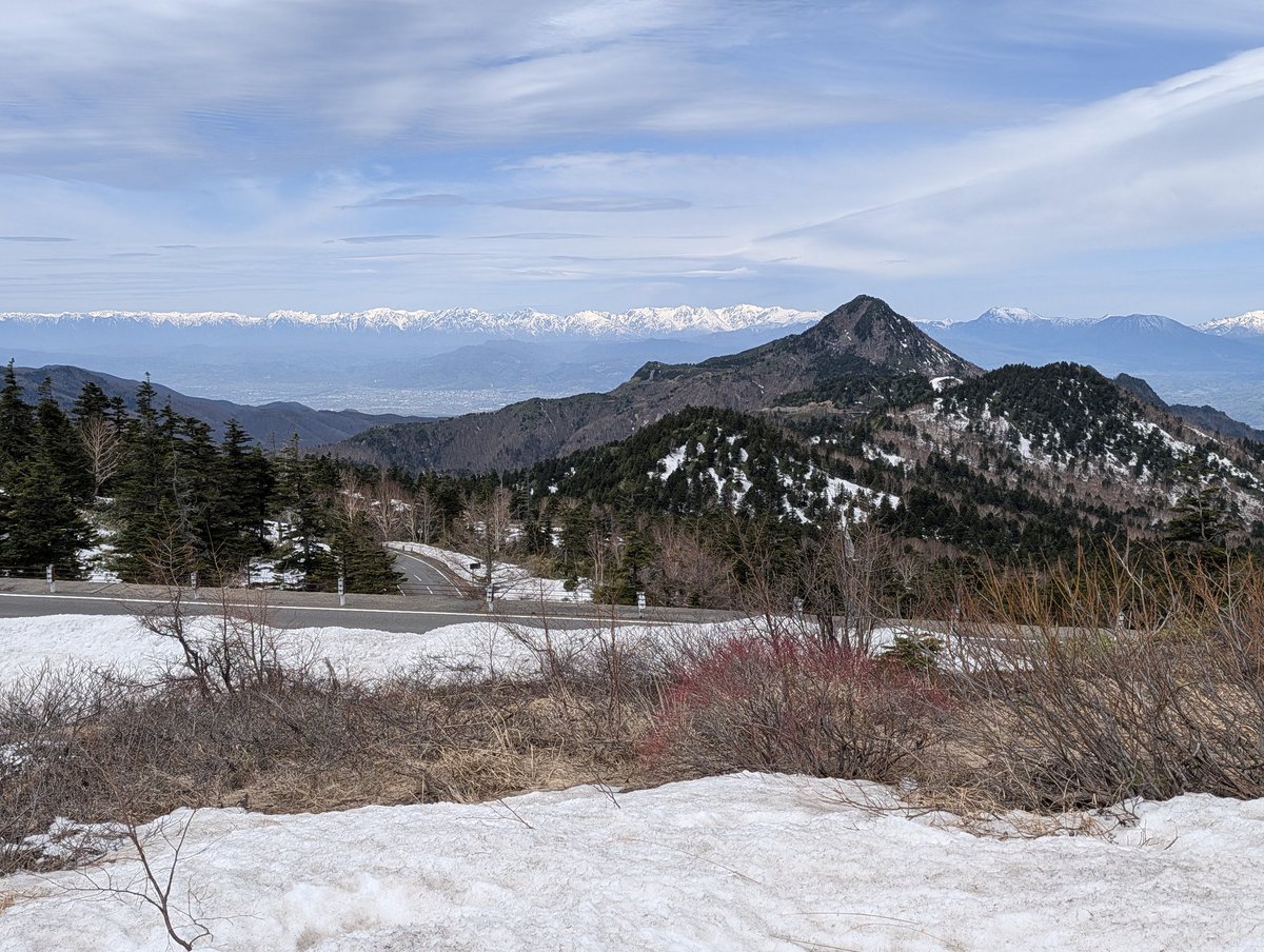 ばぅ→ tweet media