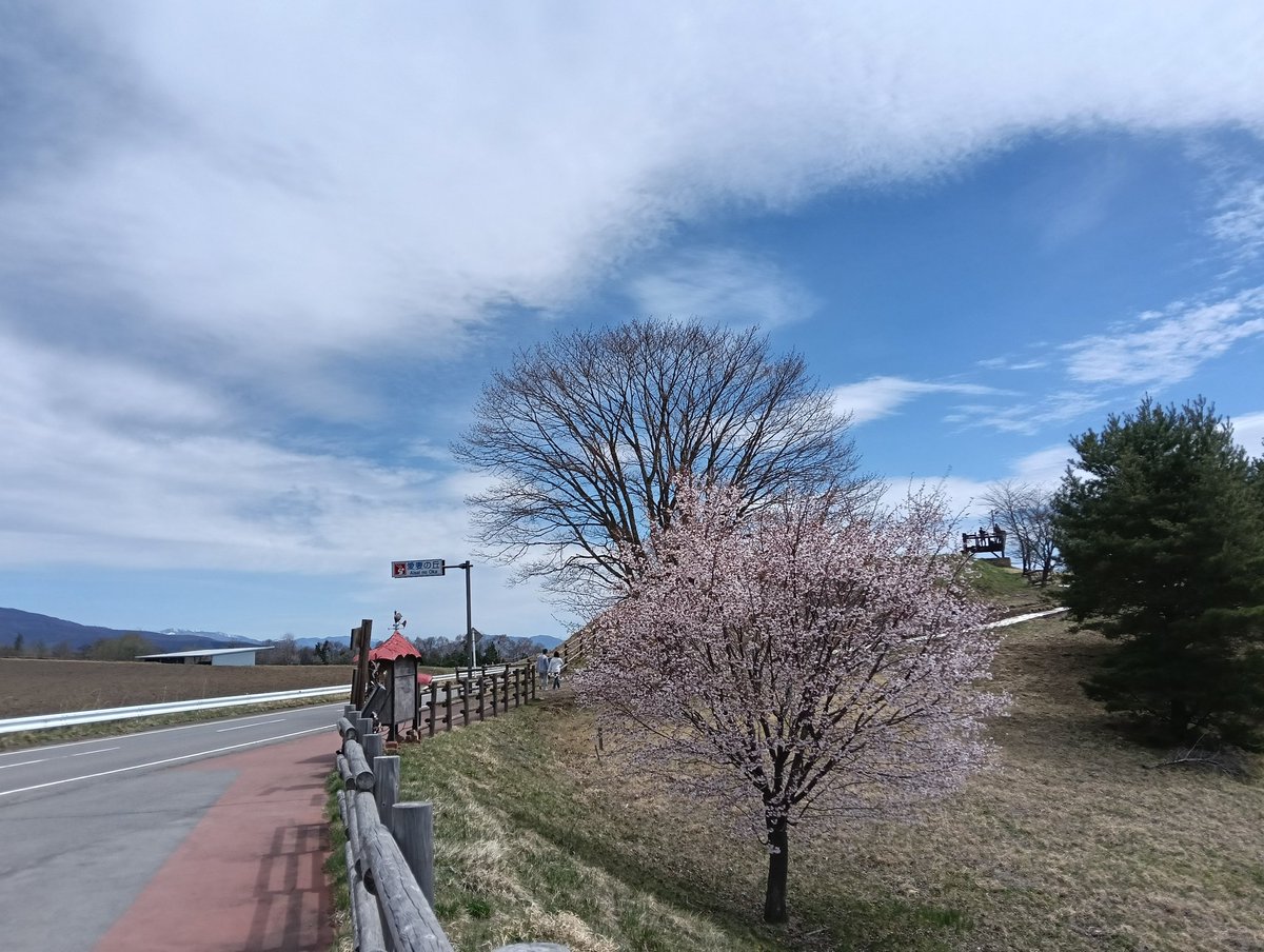 bbblueeee's tweet photo. 今日の八ッ場はとても青かった😊
パノラマライン沿い桜が満開です
#vanvan200 https://t.co/Z1UDvsEJ6x