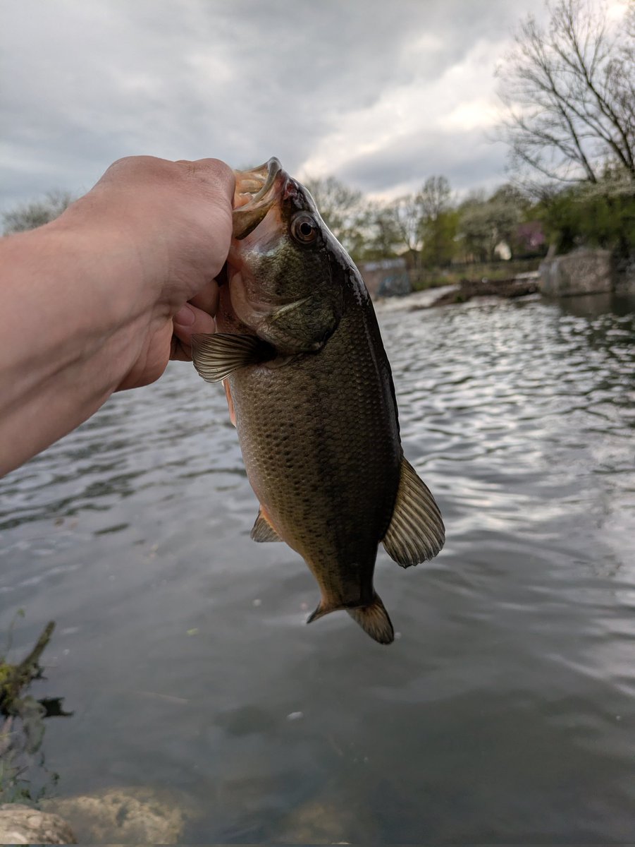 JohnHB84 tweet media