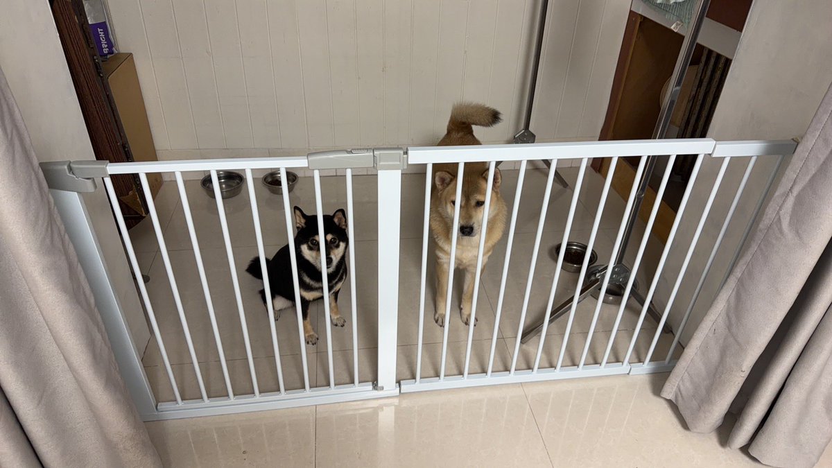 Super boyang tweet media