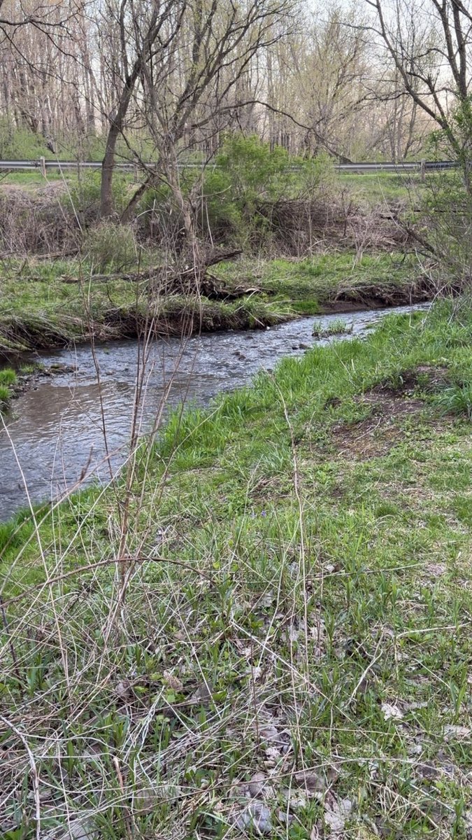 A._.rat.in.a.cage. tweet media