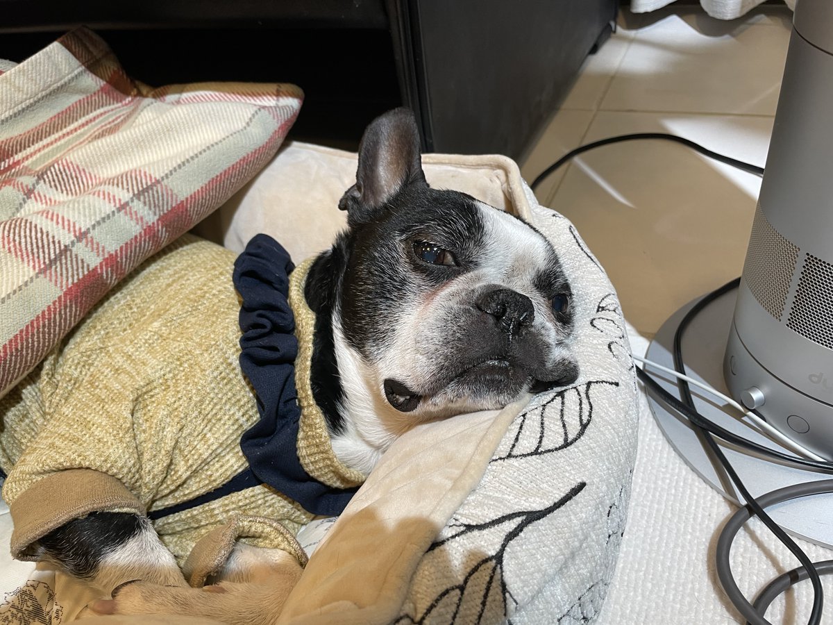 Shigetsu Takayama tweet media