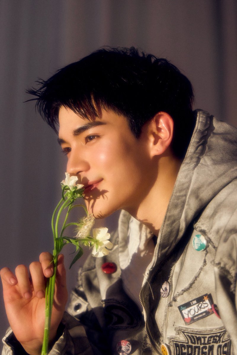 StreamForFourth tweet media