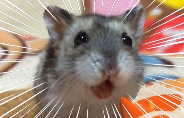 りなりな tweet media